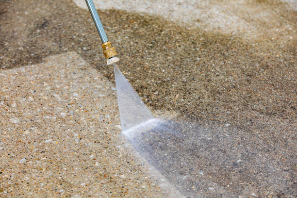 Best Driveway Pressure Washing  in Jackson, MI