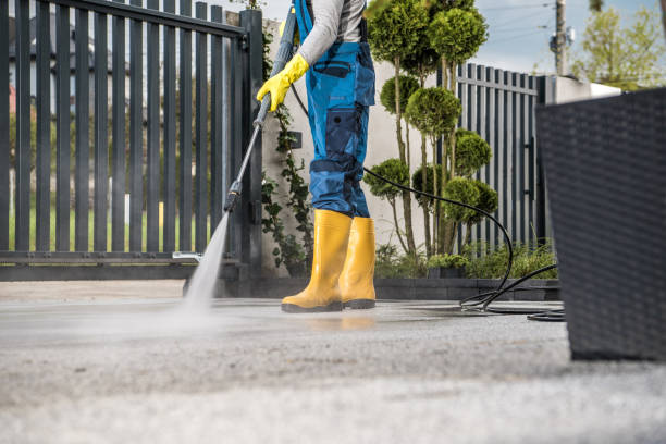 Best Sidewalk and Walkway Cleaning  in Jackson, MI